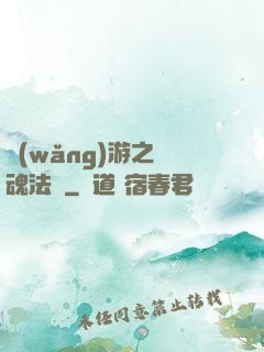 網(wǎng)游之靈魂法師